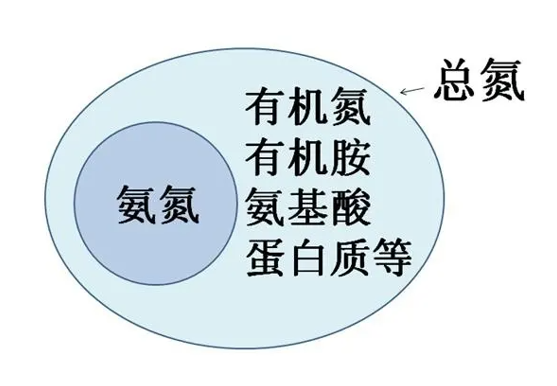 氨氮總氮.png